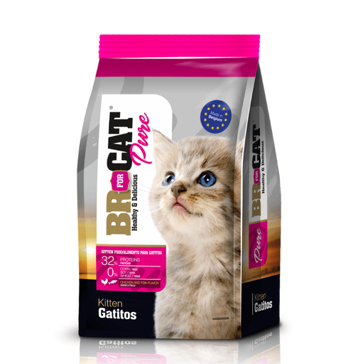 Br For Cat Gatitos 3kl 